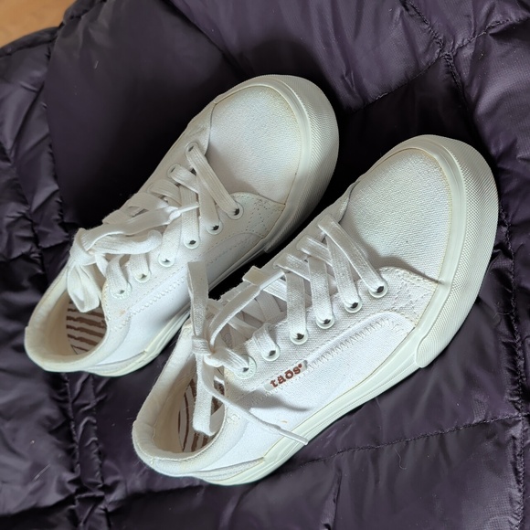Taos Shoes - NWOB Taos Size 6 White Canvas Sneakers